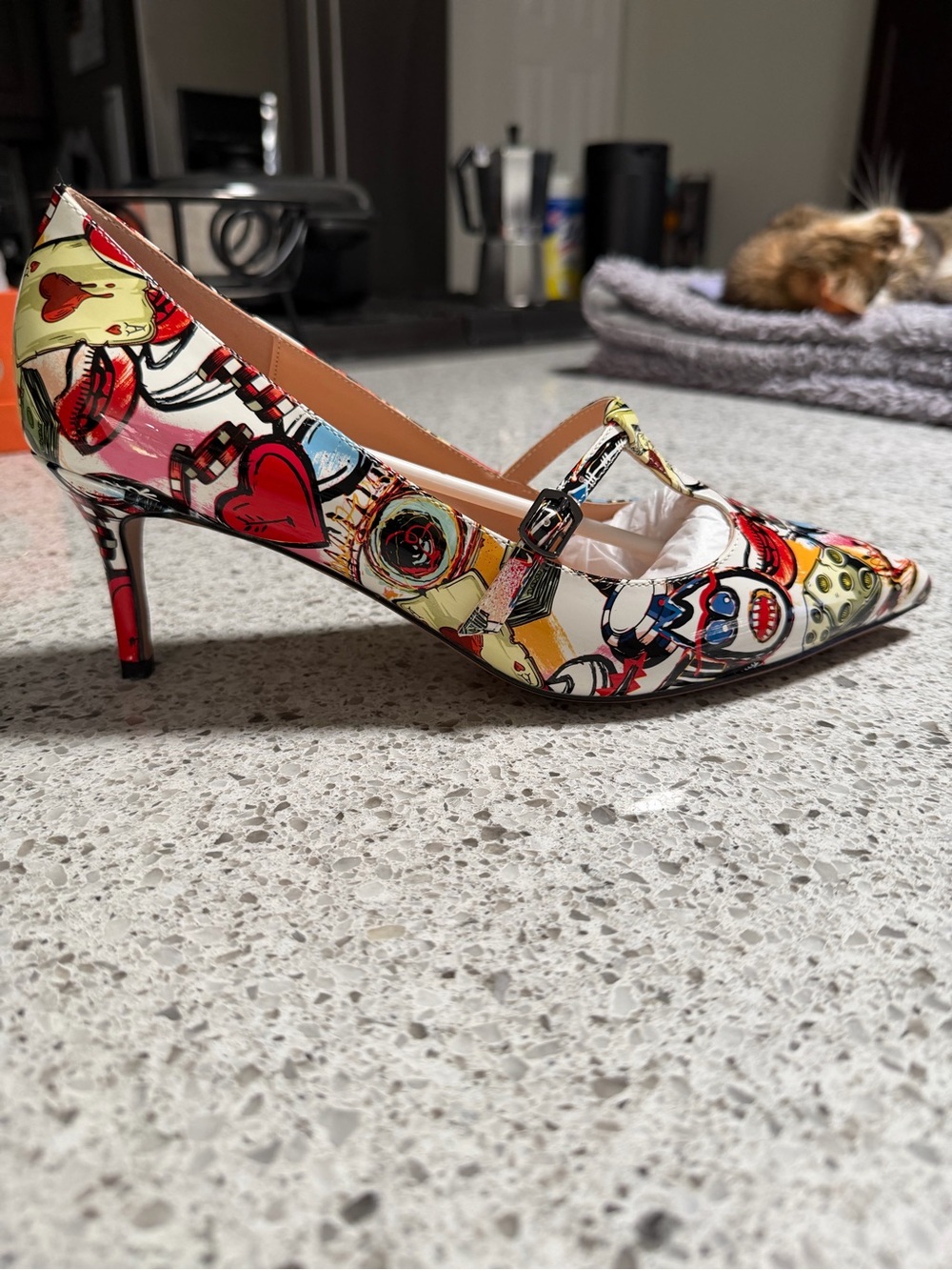 Graphic Multicolor Mary Jane Pointed Pump - Women's Heels